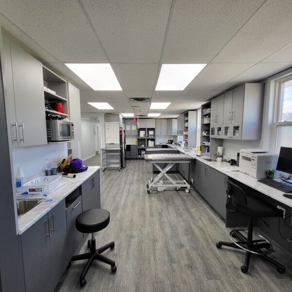 Twin Lake Veterinary Hospital